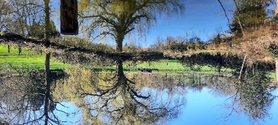 Kruisborrewandeling in Asse (9 km)