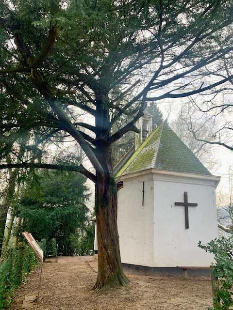 Kruisborrewandeling Asse (9 km)